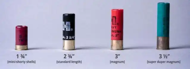 科普向霰弹枪那些奇怪的口径和奇怪的弹种型号