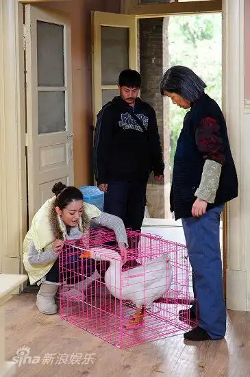 资料图片电视剧婆婆来了精彩剧照41