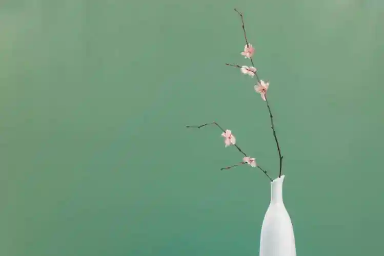 国风古韵丨淡雅四君子梅兰竹菊中国人永恒的的审美理想