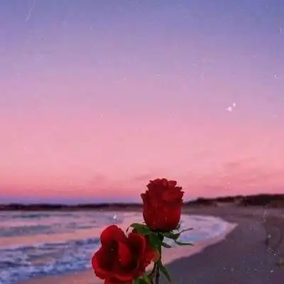 有意境的简约风景头像