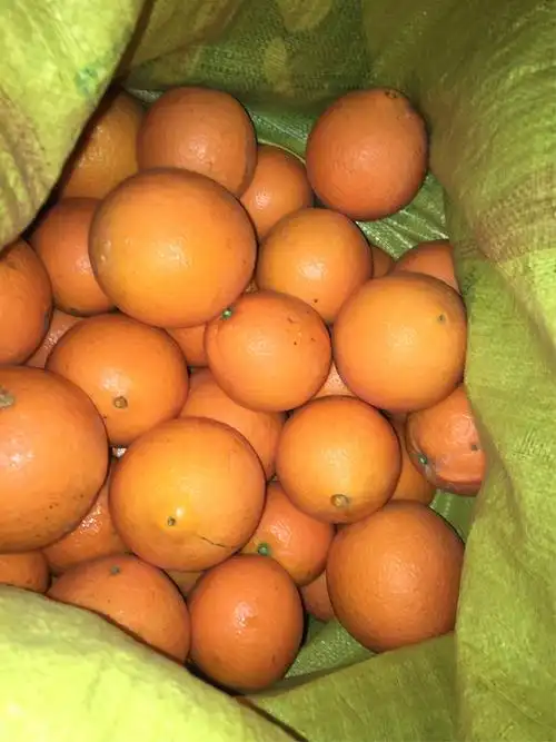 圣诞节平安夜特惠:周六刚采摘的小巧玲珑的冰糖橙2.5元一斤啦,大脐橙3