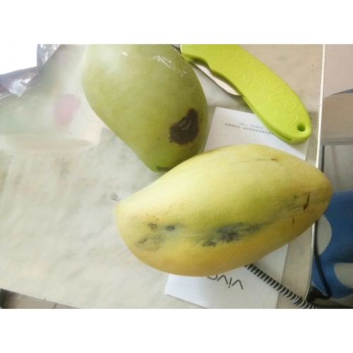 > 米又 新鲜水果 越南青皮芒果5斤商品评价 > 坏了两个