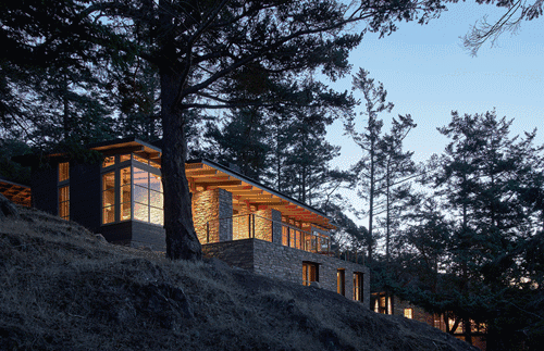 山中私人别墅:院子算什么,我有整个森林!