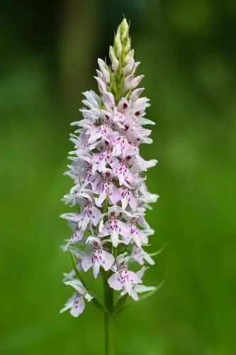 1024_1536竖版 竖屏