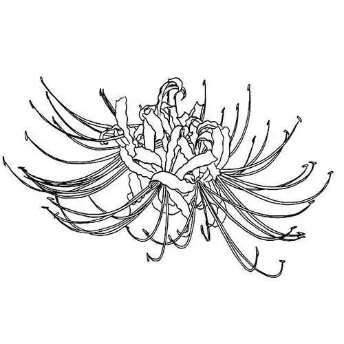 古风梅简笔画集古风花简笔画步骤彼岸花简笔画铅笔画图片手绘古风简笔