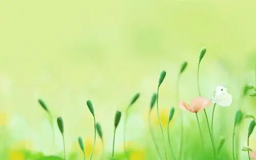 简约自然电脑高清电脑桌面主题壁纸下载(一)