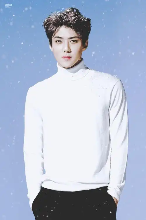 exo 吴世勋 sehun 明星 美男