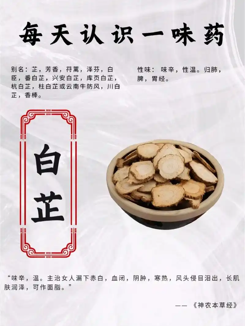 白芷.白芷:解表散寒,祛风止痛,宣通鼻窍,燥湿止带,消肿排脓 - 抖音