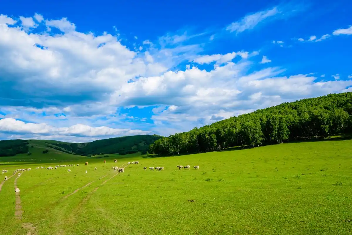 奇遇那拉提#新疆那拉提草甸草原是一处自然风景区,这里有广袤的草原