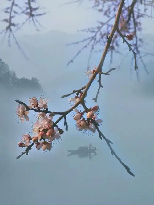 江南烟雨梦独韵桃花开