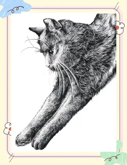 🐾 萌态十足的动物手绘插画集 🐾