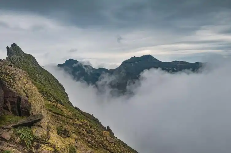 朴龙国长白山情怀图片展.