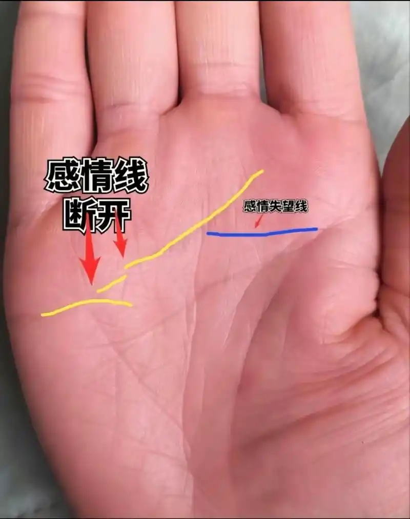 不一定.感情线断了,代表感情有波折.