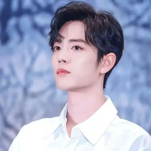 肖战最新微信头像