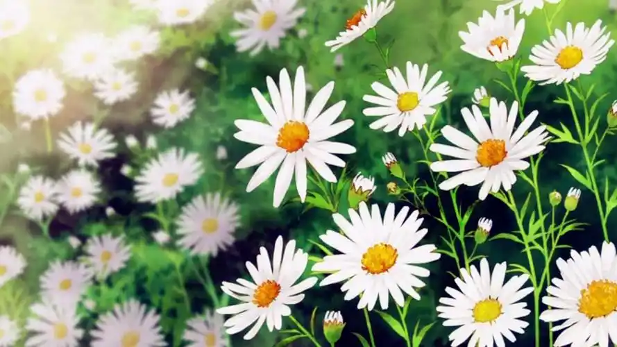 高清动漫#二次元#高清唯美#电脑桌面壁纸