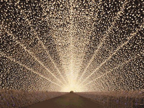 500_375gif 动态图 动图