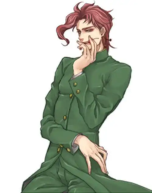 レロリスト 花京院典明