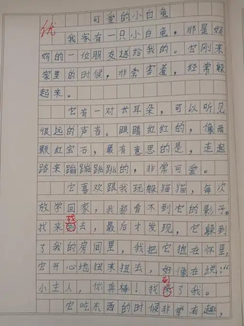 三年级作文班第五单元习作《我眼中的缤纷世界》