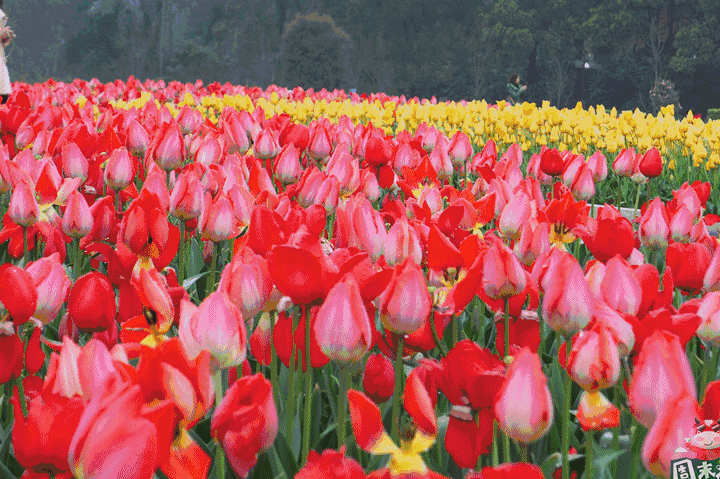 720_479gif 动态图 动图