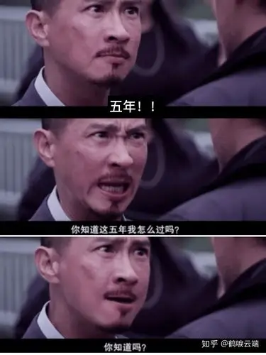 你知道我这五年是怎么过的吗?