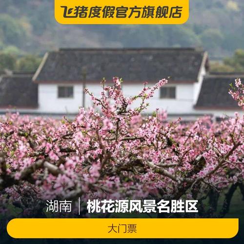 [桃花源风景名胜区-大门票(花朝节)]桃花源风景名胜区