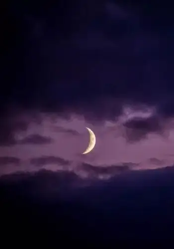 壁纸港味ins复古