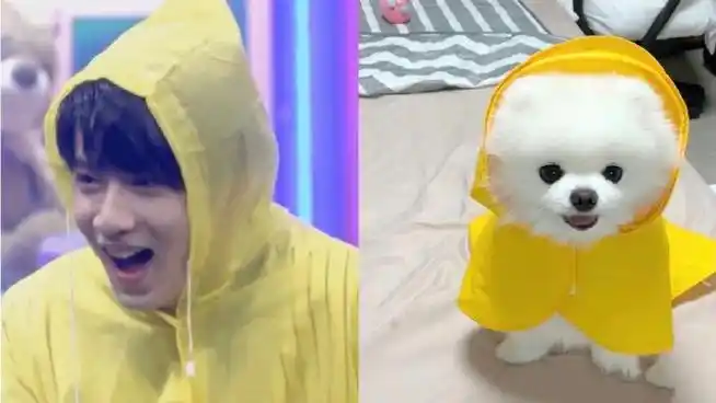 刘耀文预告新歌##刘耀文原创新歌耀眼的你