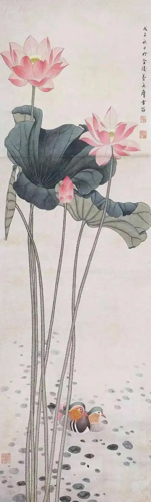 他的工笔荷花,太美了