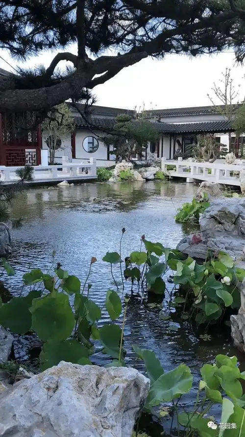 花园水景风水(庭院瀑布水幕系统)-百科学社