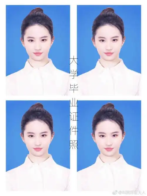 粉丝把刘亦菲的图片p成各种证件照,结婚证件照美成小仙女!