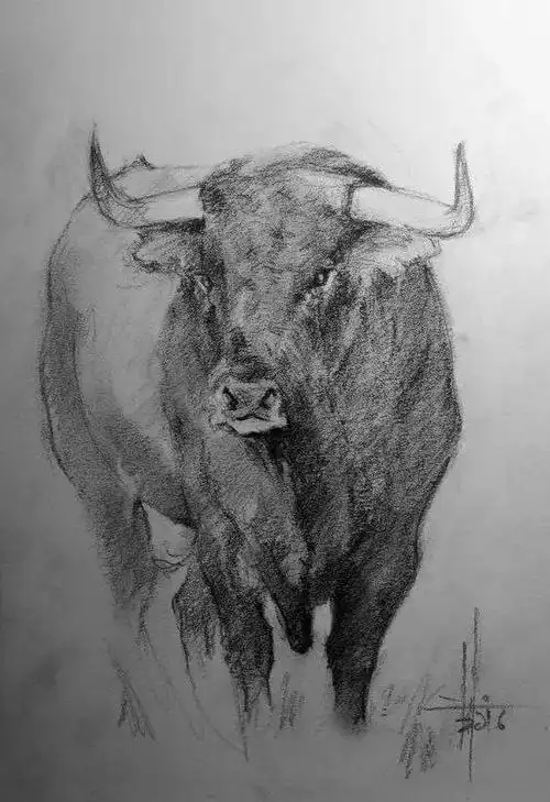 千万别阻止孩子看《动物世界》,因为……_素描