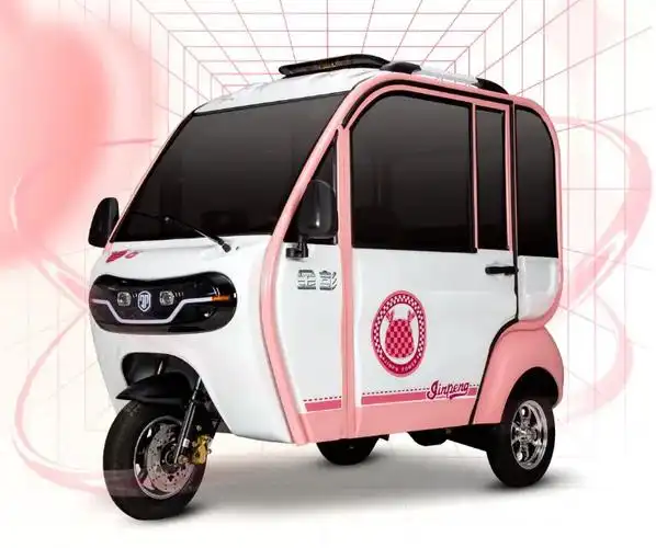 2款带篷电动三轮,在目录能上牌,价格1万左右,2023年迭代新产品_懂车帝