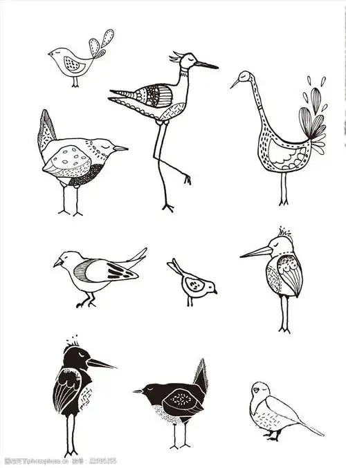 黑白线条手绘小鸟