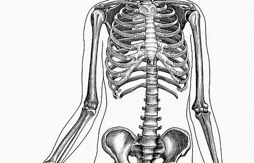 人体骷髅骨骼骨架黑色手绘素描风格图片免抠素材