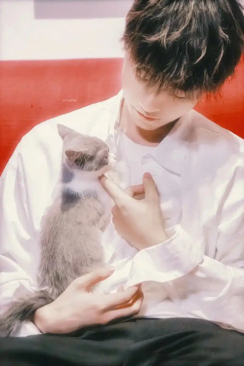 小俊手好小#王俊凯 #王俊凯让人心动的n个瞬间 #王俊凯心动 - 抖音