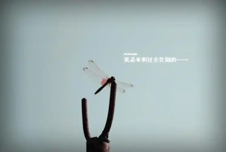 告别过去迎接未来的图片