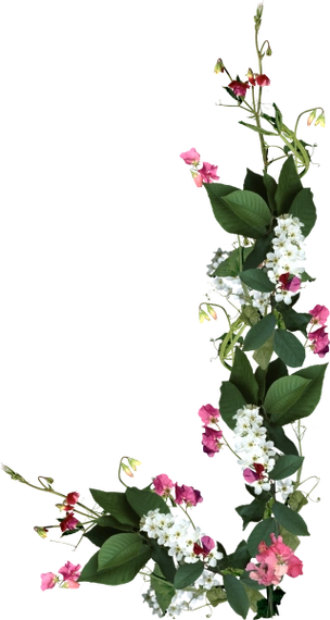 免抠花草素材三