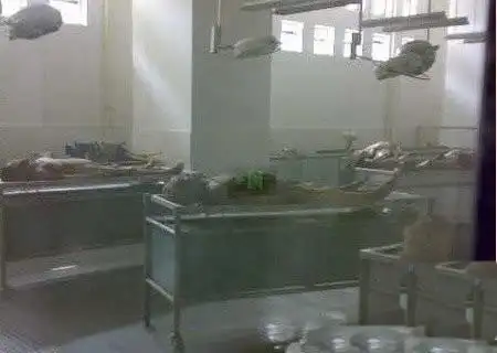 放置在解剖台上的尸体.