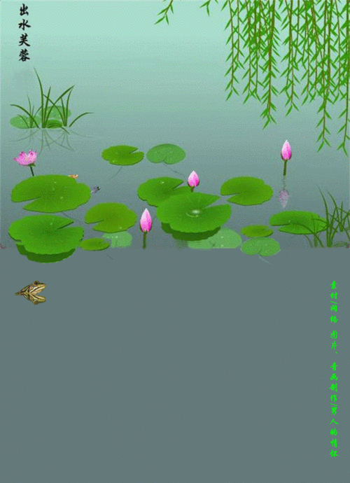 【原创音画】荷花