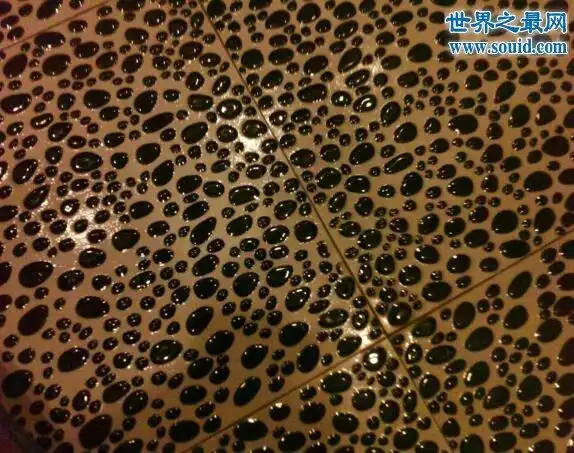 恐怖的密集恐惧症测试图冒着生命危险测试了