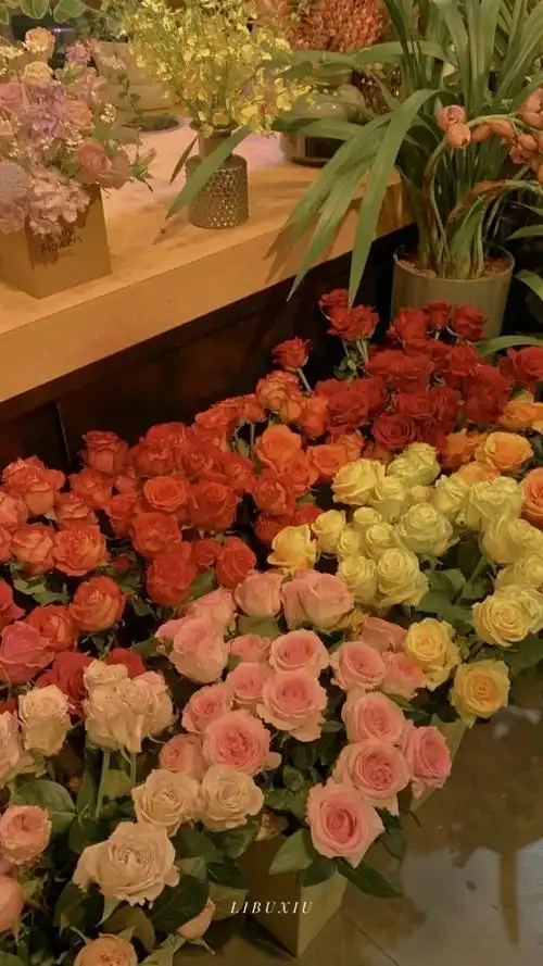 9月12日 8:19   关注  壁纸 仙气 ins 评论 收藏