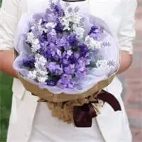 薰衣草女孩头像