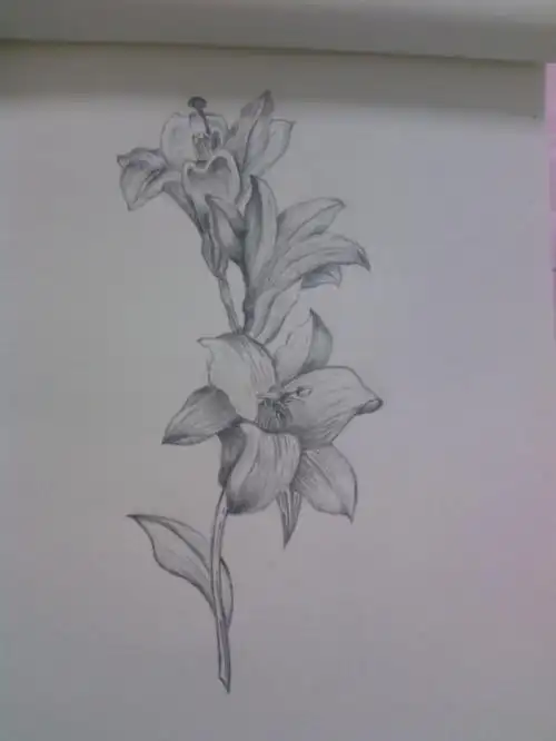 铅笔画花素描简笔画