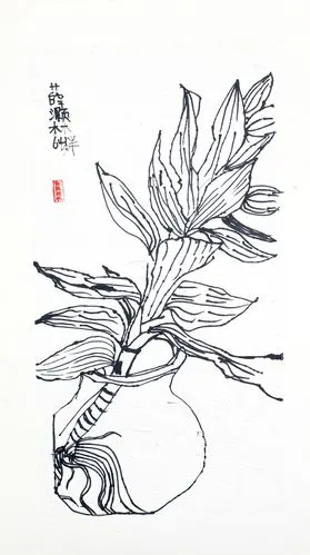 线描植物——《富贵竹》
