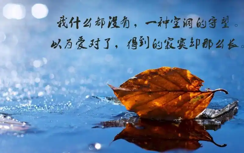 一个人的伤感,你怎能体会,高清壁纸图片,非主流-回车桌面