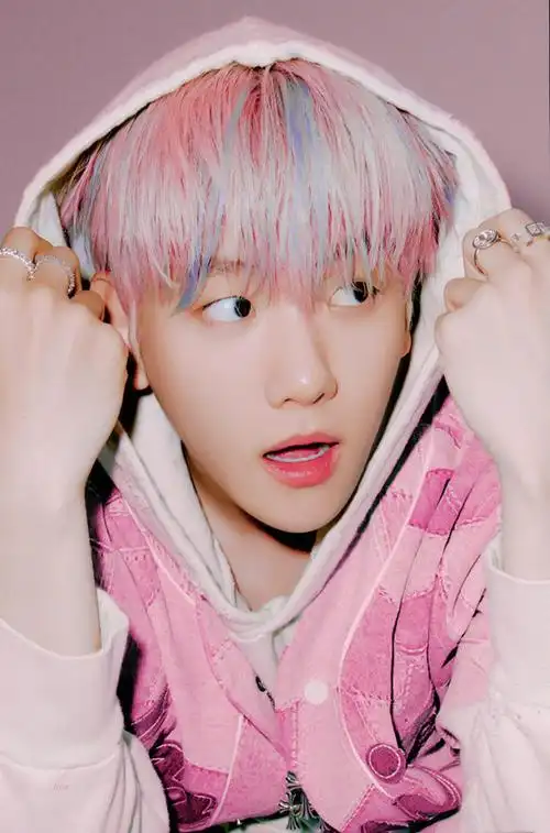 芭兰歌林代言人边伯贤