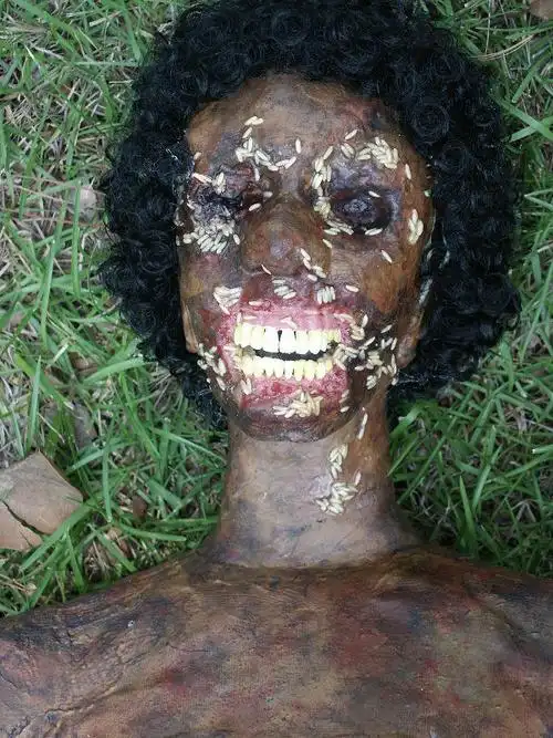 想成为法医?请先通过"被蛆虫爬满的烂肉"验尸考验_未解之谜网