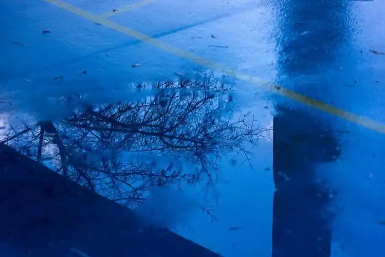 手机壁纸背景图/高清壁纸