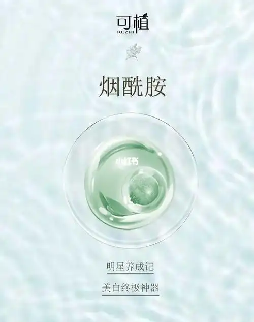 核心成分说美白终极神器烟酰胺