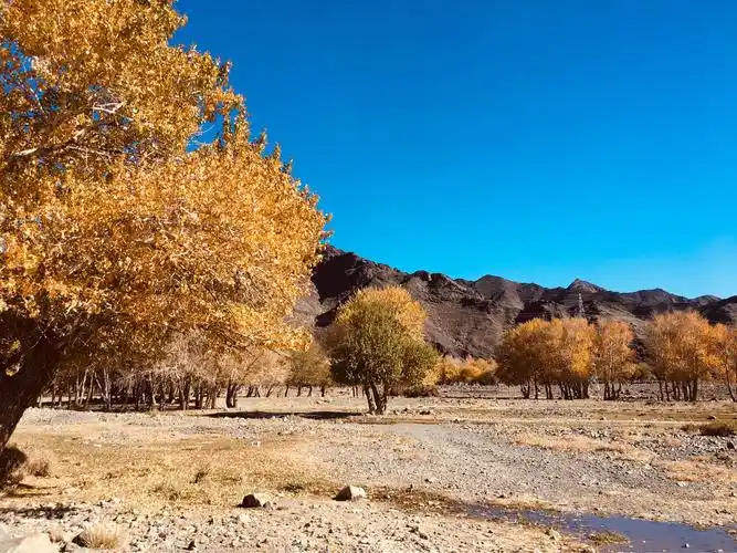 天山脚下的世外桃源白杨河